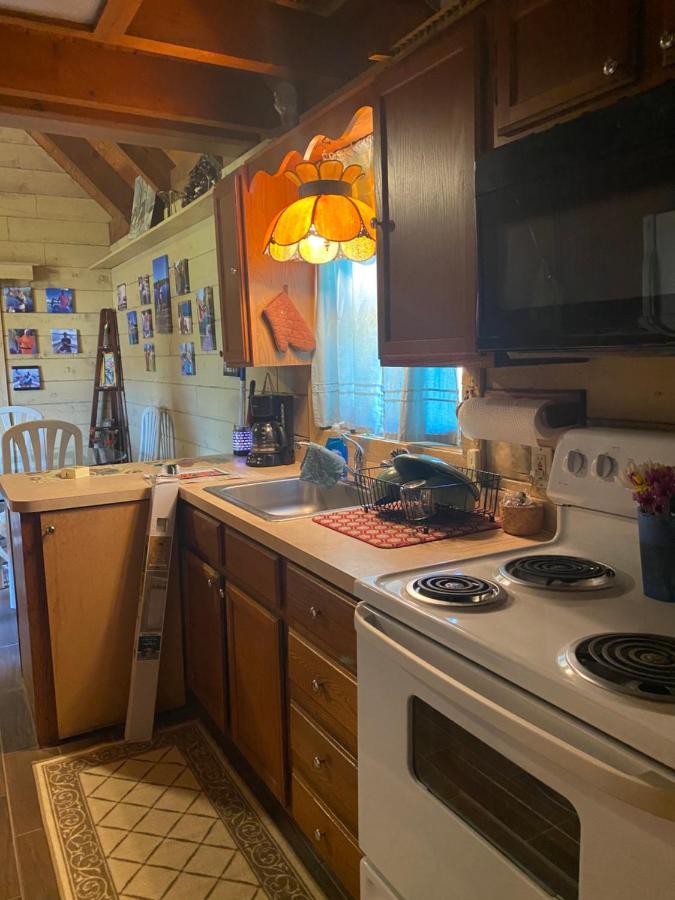 Log Harbor Cabins Okeechobee Buitenkant foto